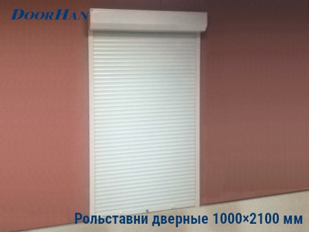 Рольставни на двери 1000×2100 мм в Ноябрьске от 37427 руб.