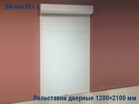 Рольставни на двери 1200×2100 мм в Ноябрьске от 41226 руб.