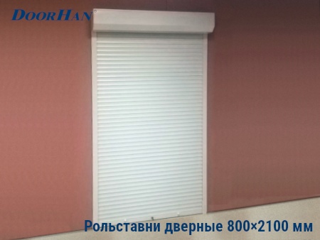 Рольставни на двери 800×2100 мм в Ноябрьске от 33627 руб.